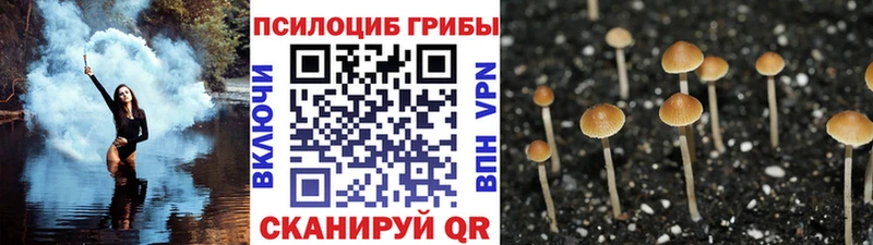 Галлюциногенные грибы Cubensis Снежинск