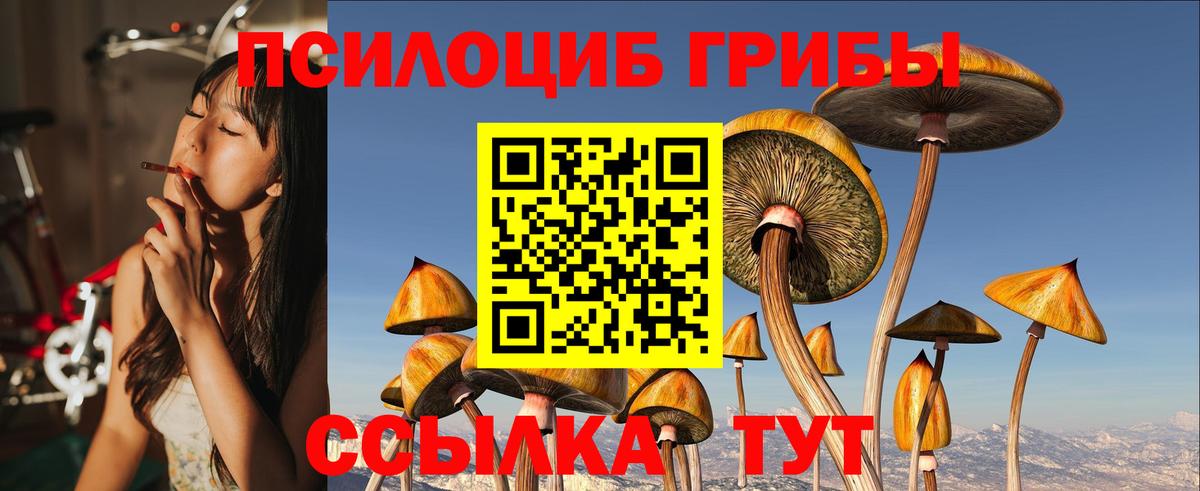Псилоцибиновые грибы мухоморы Снежинск
