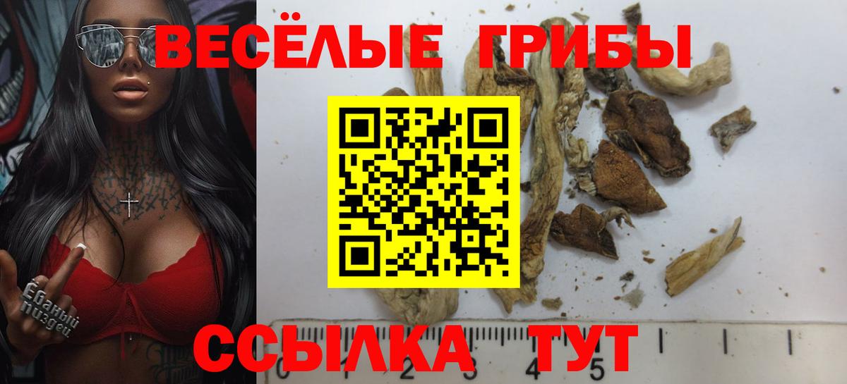 Псилоцибиновые грибы Psilocybe  Галлюциногенные грибы мицелий  Снежинск  Вход с VPN 